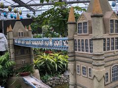 -南宫五洲植物乐园