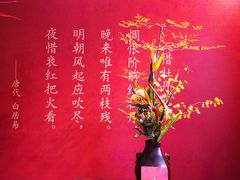 -厦门园林博览苑