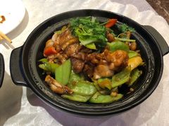 生喱牛蛙煲-粤秀小厨·广式早茶(辽宁路店)