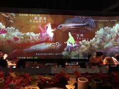 -地球美食剧场
