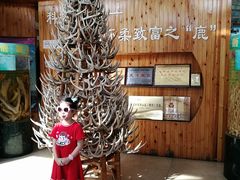 -北京鹿世界主题园