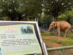 -南宁市动物园