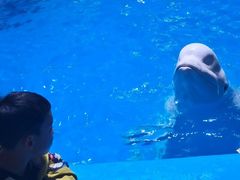 -威海华夏城景区