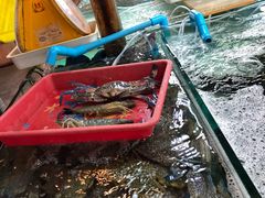 -班赞海鲜市场
