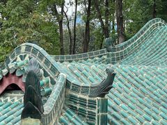 -桂湖森林公园