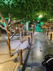 -酷嗒动物文化乐园(cutezoo西溪乐天城店)