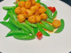 XO酱炒元贝-上海1号私藏菜(黄浦店)