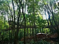-石燕湖生态旅游景区