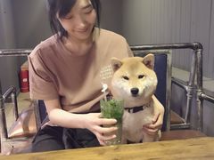 -百好乐宠物友好餐厅(朝外大街店)