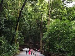 -凤栖山