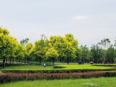 -洨河生态公园