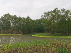 -桤木河湿地公园