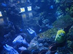 -海合安青岛极地海洋公园