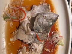 -顺风123(观音桥大融城店)