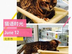 -小时光咖啡馆(开森度假森林店)