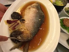 -张生记(双菱店)