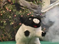 -龙江大舞台旗舰店