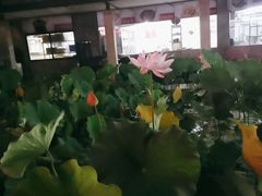 -天怡·鱼工厂(梅溪湖店)