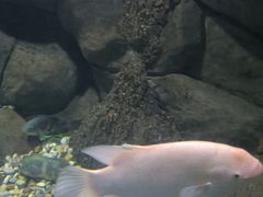 -苏州海洋馆