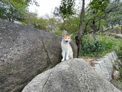 -崂山巨峰游览区