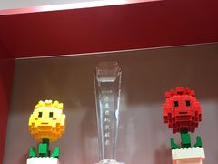 -韦哲乐高机器人·等级考试·少儿编程(羽山路校区)