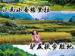 -公盂村