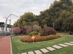 -北外滩滨江绿地