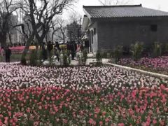 -黄河三峡风景名胜区