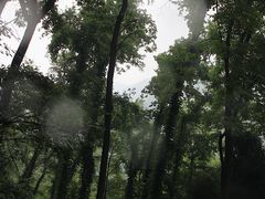 -李冰陵园