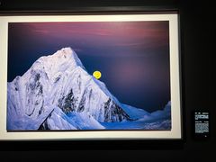 -罗红摄影艺术馆