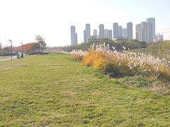 -汉景帝阳陵博物院