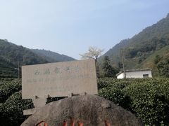 -龙坞茶村