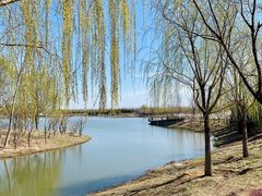 -东郊湿地公园