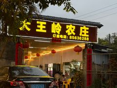 -大王岭农庄