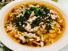 -三猫黑鱼花(南大店)
