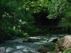 -广州市石门国家森林公园