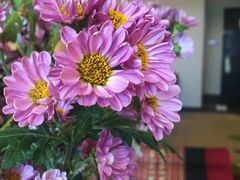 -厦门日月谷温泉渡假村