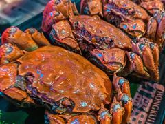 -红盔甲·小龙虾(天钥桥店)
