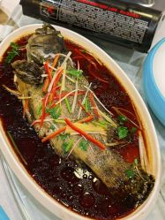 -鑫淼餐饮娱乐中心(江东街店)