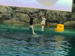 -威海华夏城景区