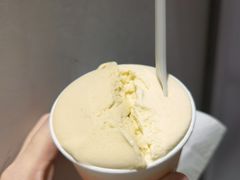 油柑茉莉-Dip in Gelato(富民路店)