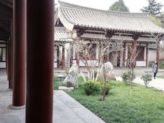 -西安青龙寺遗址景区