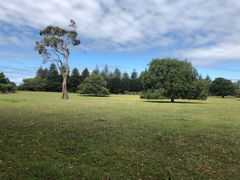 -Takapuna Beach Cafe