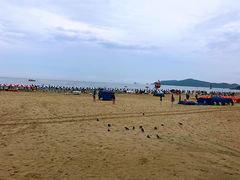 -海云台海滩