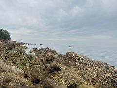 -养马岛旅游度假区