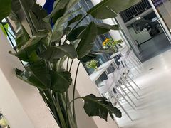 -intime coffee(芝麻街店)