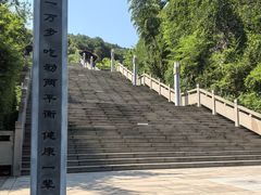 -铁山坪森林公园