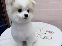 -FAELING PETS美天灵宠物(富力广场店)