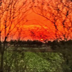 -天津市儿童医院(河西马场院区)