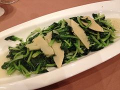 iphone_upload_pic-乾园风尚五大道